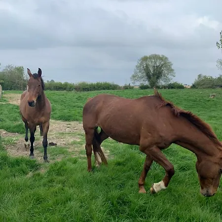 منزل ريفي Welkom *