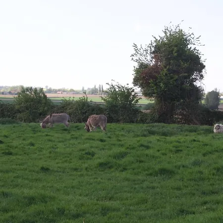 Welkom