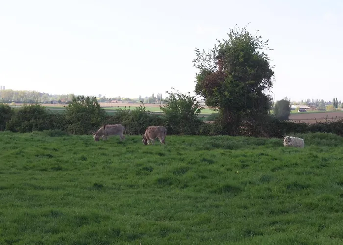 Welkom